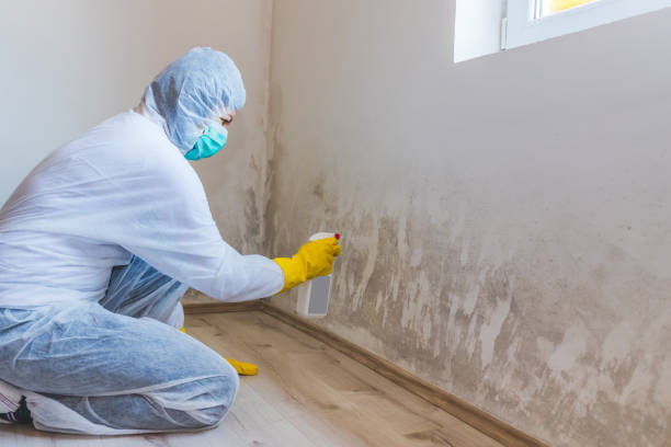 Hvac And Air Duct Mold Remediation inspection of HVAC system in Queen